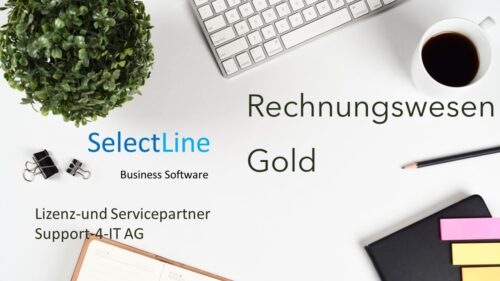 SelectLine Fibu, Rechnungswesen Gold 1